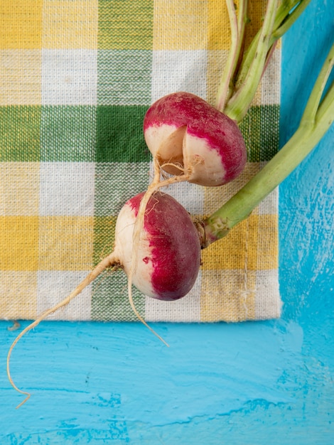 Photo gratuite vue rapprochée de radis rouges entiers sur tissu sur fond bleu avec copie espace