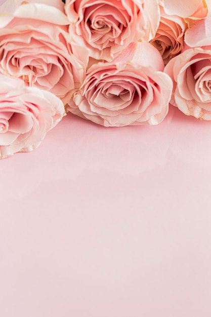 Vue rapprochée de la Saint-Valentin; concept de jour de s avec des roses