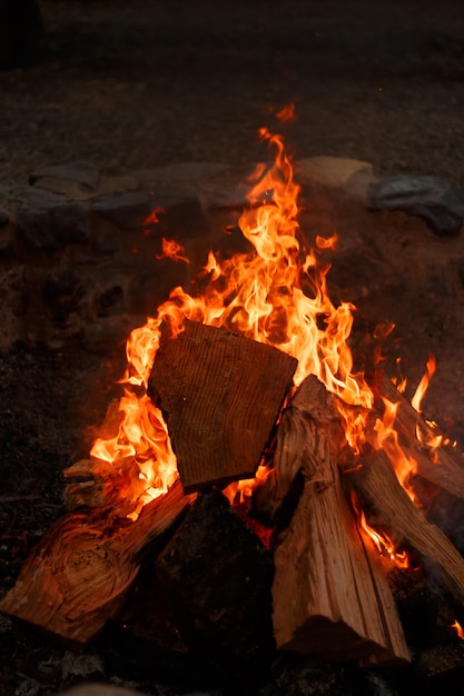 Vue rapprochée verticale d'un feu de joie avec une belle flamme orange