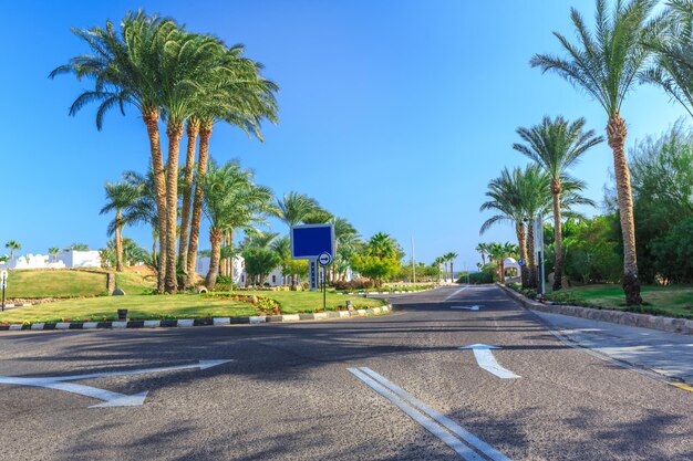 La vue sur la route et les palmiers près des hôtels
