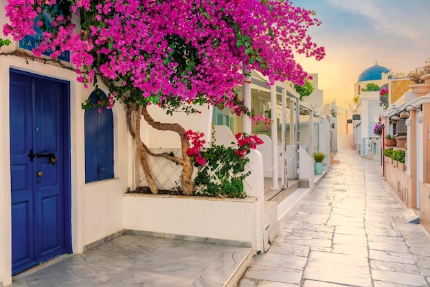 Vue de la rue Oia le matin