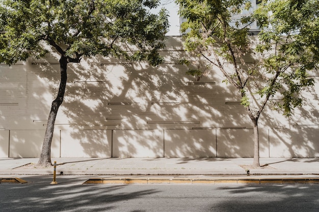 Vue de la rue de la ville avec des arbres