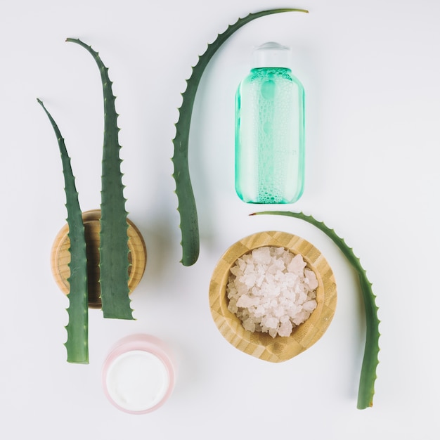 Vue supérieure de l'aloe vera avec des outils de beauté et des cosmétiques