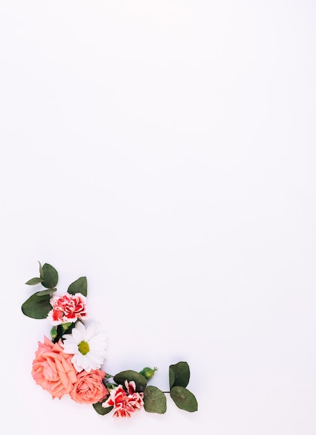 Vue surélevée de fleurs et de feuilles décorées sur fond blanc