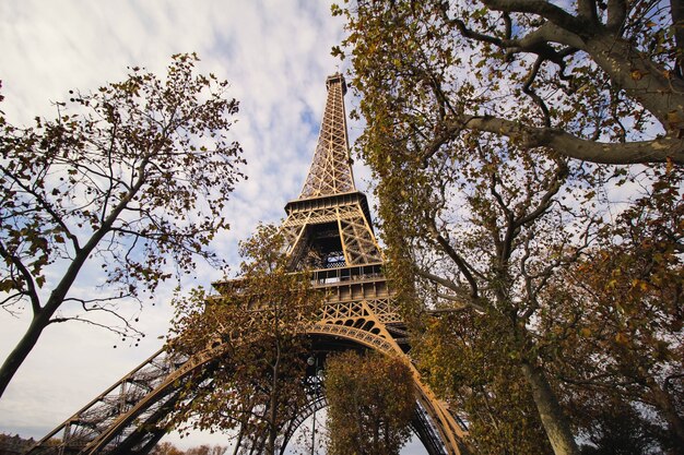 La vue de la Tour Eiffel depuis le parc