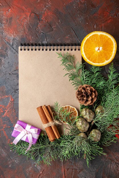 Vue verticale des branches de sapin cadeau de couleur pourpre et cahier à spirale fermé limes cannelle et orange coupée sur le côté gauche sur fond rouge