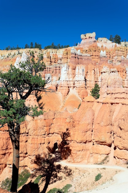 Vue verticale du sentier Navajo à Bryce Canyon, Utah