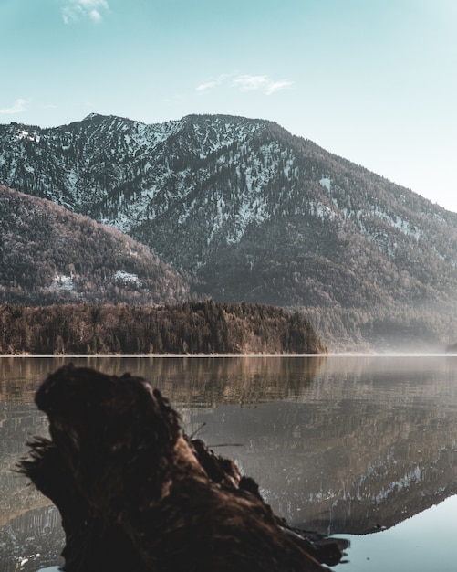 Vue verticale d'un lac et d'une montagne couverte d'arbres et de neige