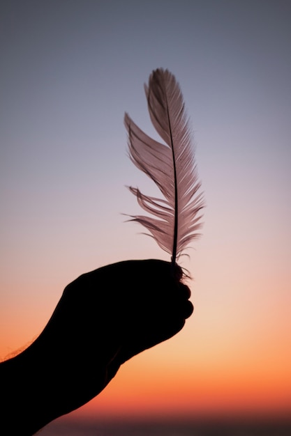 Photo gratuite vue verticale d'une personne tenant une plume pendant le coucher du soleil