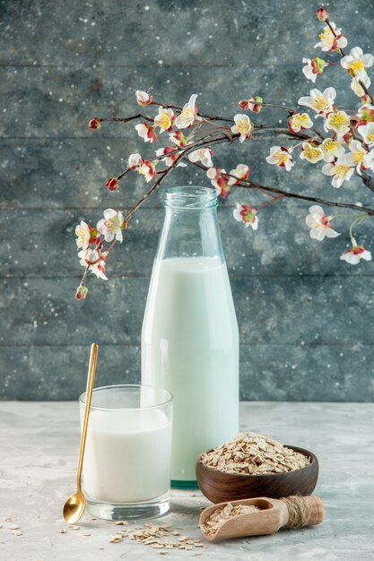 Vue verticale d'une tasse en verre et d'une bouteille remplie de lait et d'avoine à l'intérieur à l'extérieur de la fleur en pot marron sur fond gris