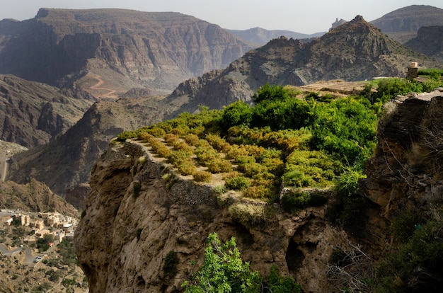 Vue à vol d'oiseau d'immenses montagnes pittoresques et de falaises partiellement couvertes d'arbres verts