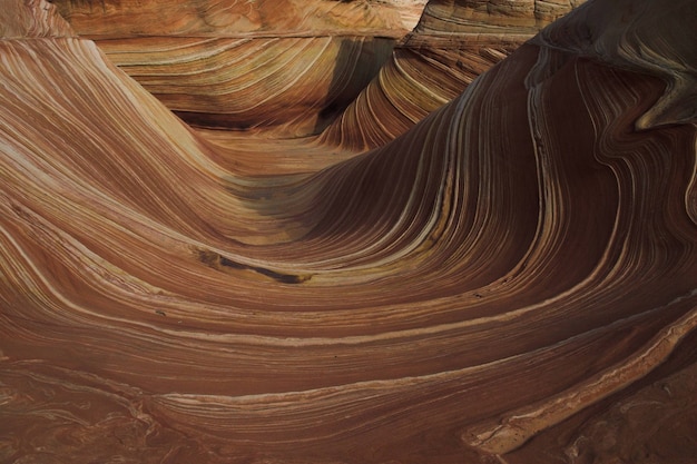 Wave formations rocheuses de grès en Arizona, États-Unis