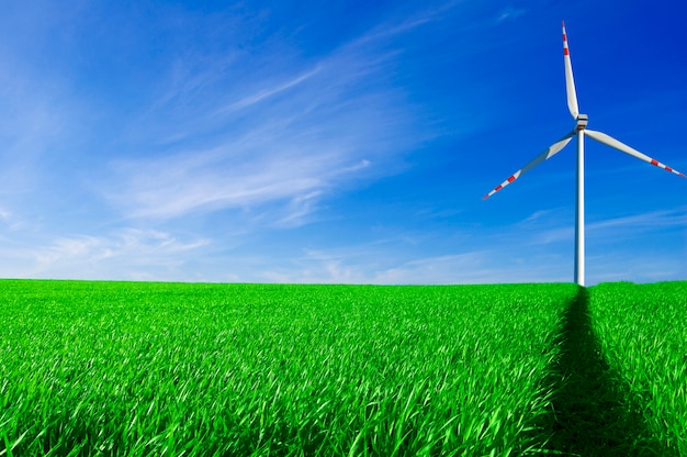 Windturbine dans un champ