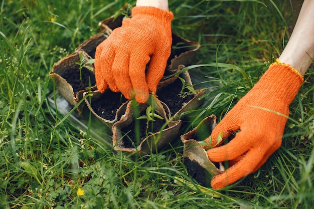 Womans mains dans les gants de plantation de jeunes plantes