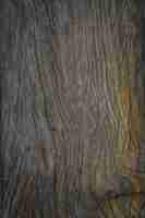 Photo gratuite wood texture fond