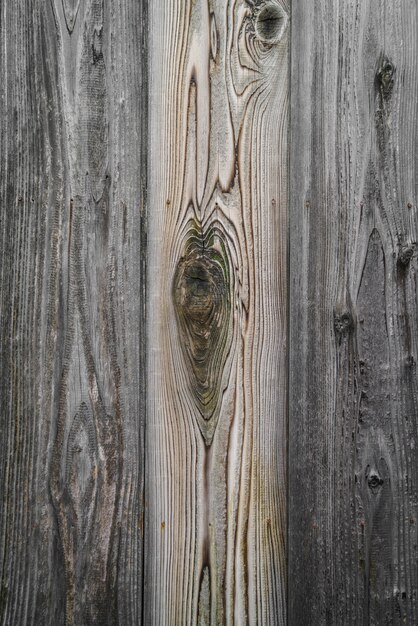 Wood texture fond