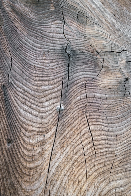 Wood texture fond