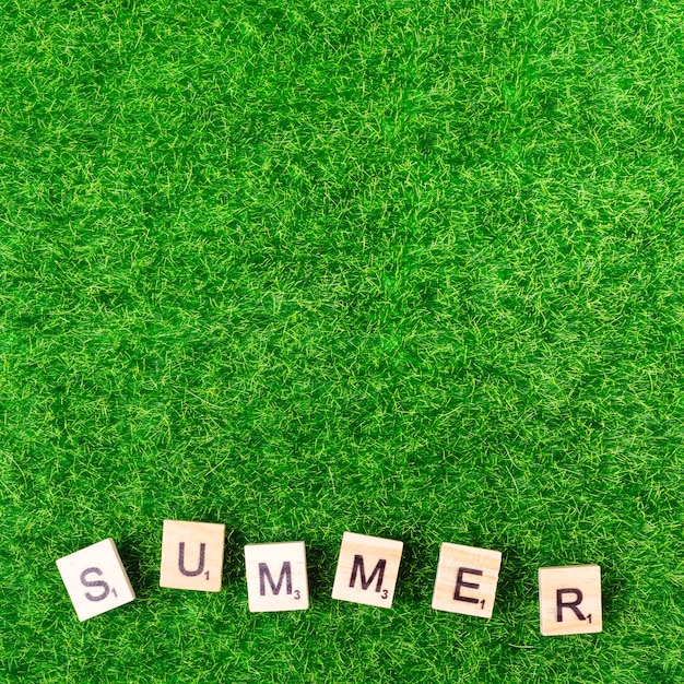 Photo gratuite word summer de lettres de jeu sur l'herbe