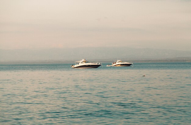 Yachts blancs en mer