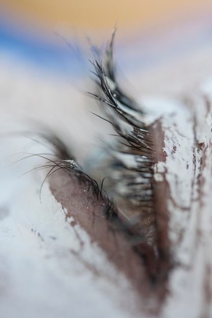 yeux cils personnes créativité maquillage