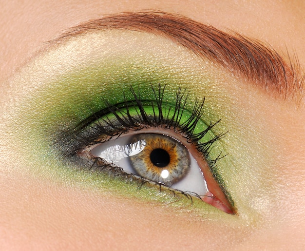 Photo gratuite yeux de femme avec une couleur vert vif de cosmétique de fard à paupières