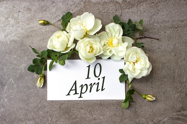 10 avril. Jour 10 du mois, date du calendrier. Bordure de roses blanches sur fond gris pastel avec date du calendrier. Mois du printemps, concept du jour de l'année.