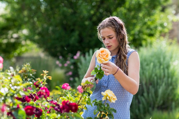 13 ans, fille, organiser des roses de jardin à la française