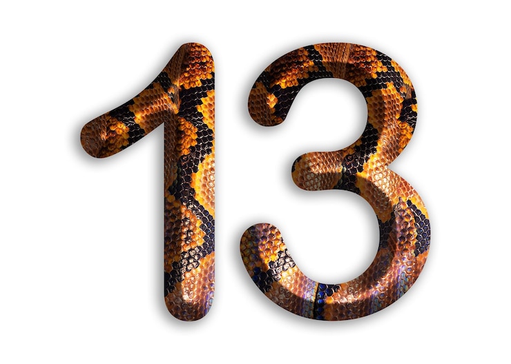 Photo 13 forme de numéro avec motif de peau de serpent design peau de python