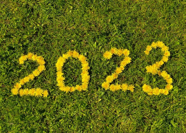 2023 numéros faits de beaucoup de fleurs de pissenlit jaune sur fond d'herbe
