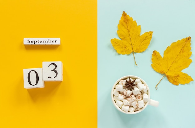 3 Septembre, Tasse De Cacao Avec Des Guimauves Et Des Feuilles D'automne Jaunes Sur Fond Bleu Jaune