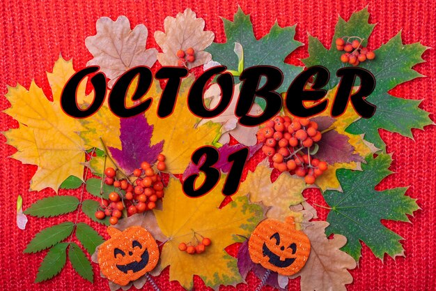 Photo le 31 octobre est la date d'halloween. forme de citrouille avec un sourire effrayant halloween sur un fond d'automne coloré de feuilles séchées, de baies sur un fond rouge tricoté. concept de temps de vacances halloween