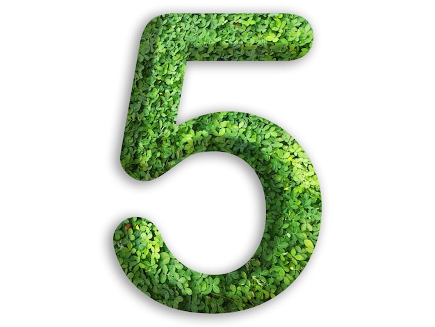 3d du nombre de 5 est fait d'herbe verte sur fond blanc concept vert aller