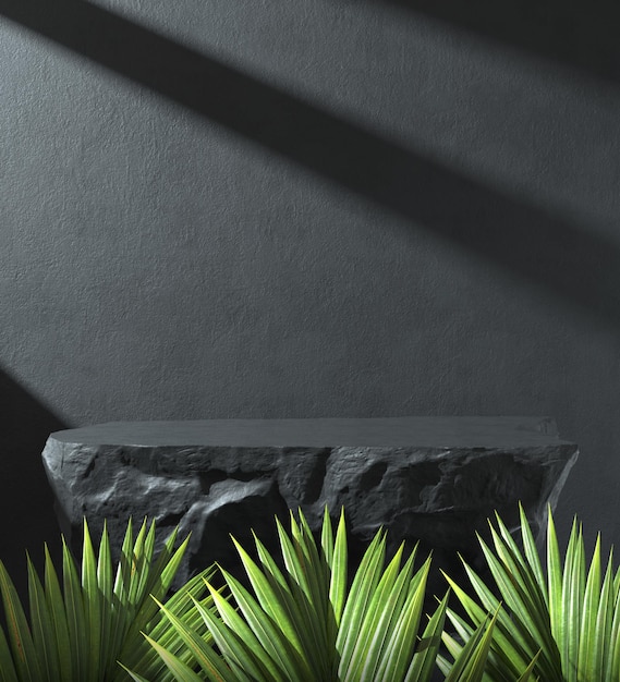 3d Illustration Black Rock Podium Display Sunlight Shadow On Concrete Wall Palm leaves Tropic