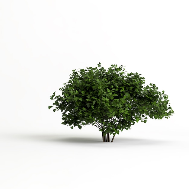 3d illustration de buisson isolé sur fond blanc