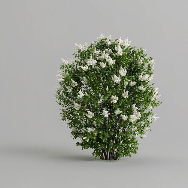 3d illustration de buisson isolé sur fond blanc