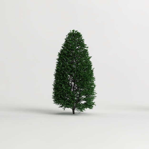 3d Illustration De Buisson Isolé Sur Fond Blanc