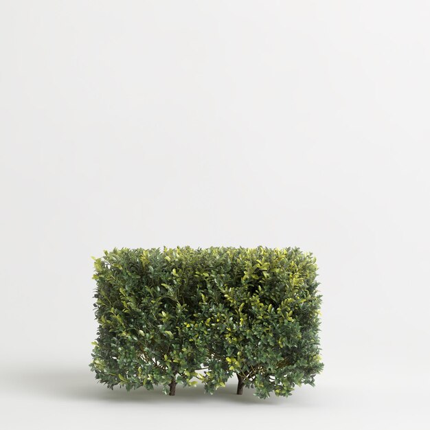 3d illustration de buisson isolé sur fond blanc