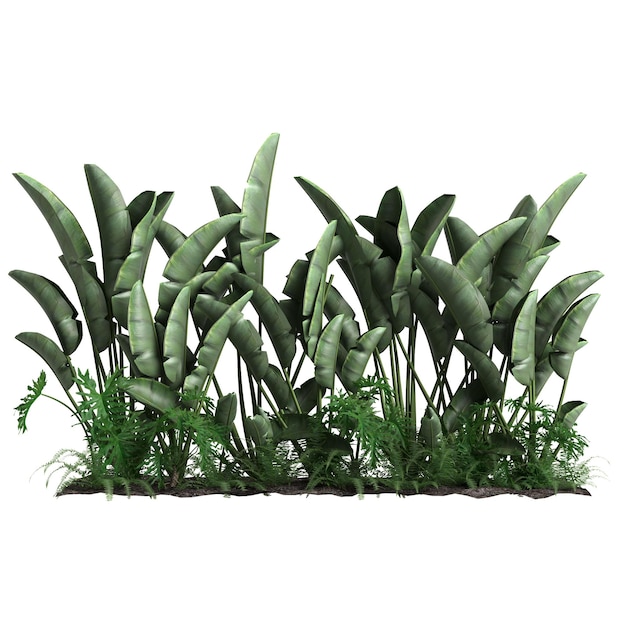 3d illustration de buisson tropical isolé sur fond blanc