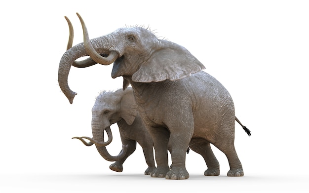 3d illustration éléphant isolat sur fond blanc avec un tracé de détourage