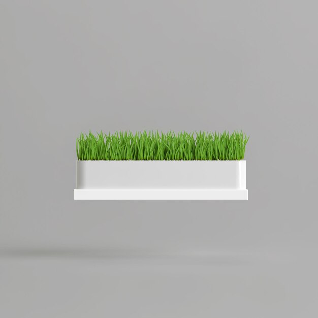 3d illustration d'herbe en pot blanc isolé sur fond blanc