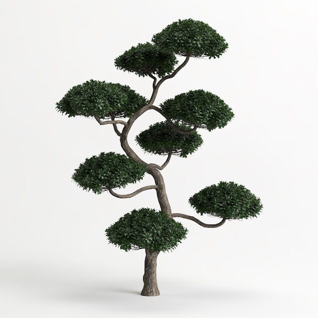 3d illustration de Ilex cornuta bonsaï isolé sur blanc et son masque