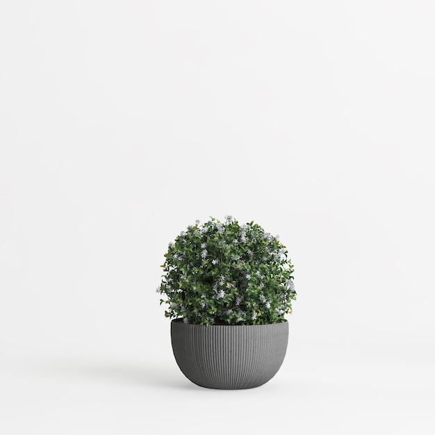 3d illustration de plante d'intérieur isolé sur fond blanc