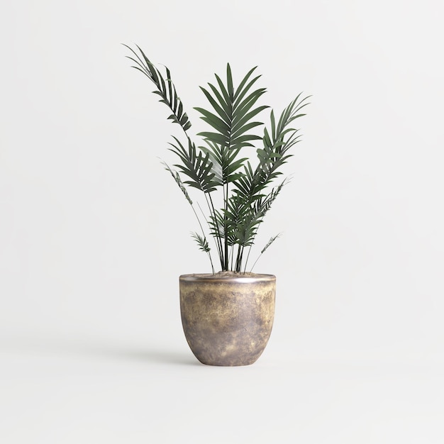 3d illustration de plante d'intérieur isolé sur fond blanc