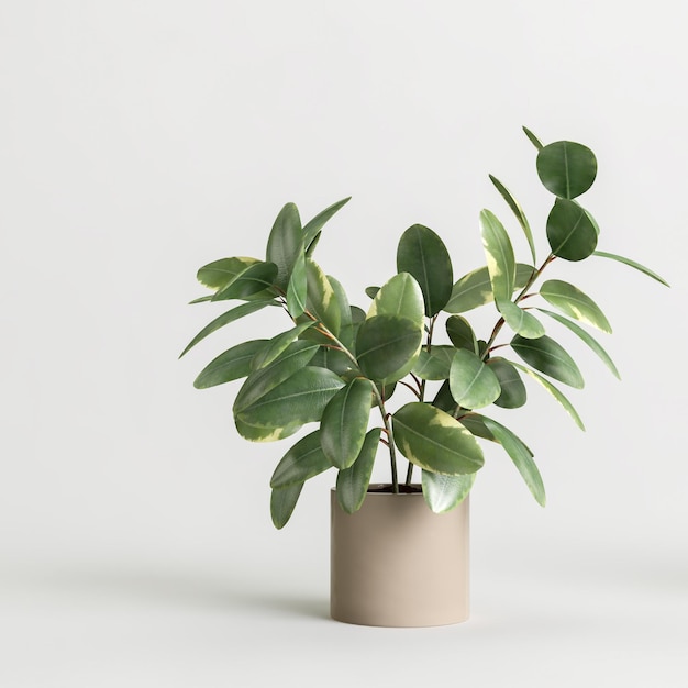 3d illustration de plante d'intérieur en pot isolé sur fond blanc