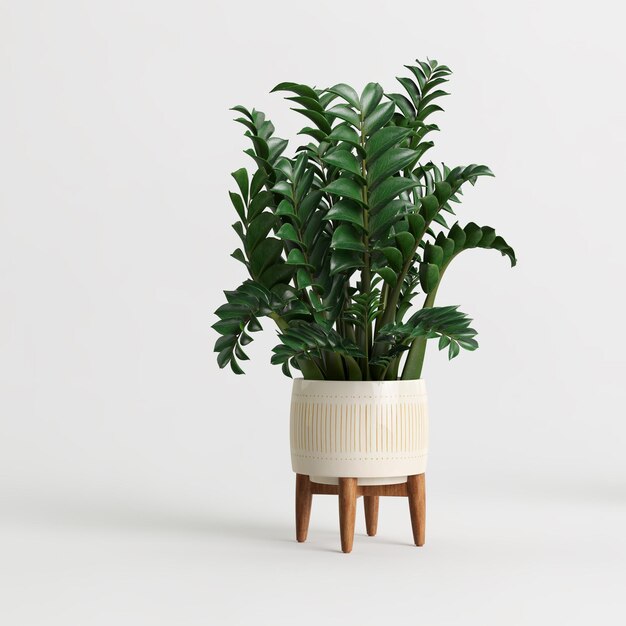 3d illustration de plante d'intérieur en pot isolé sur fond blanc