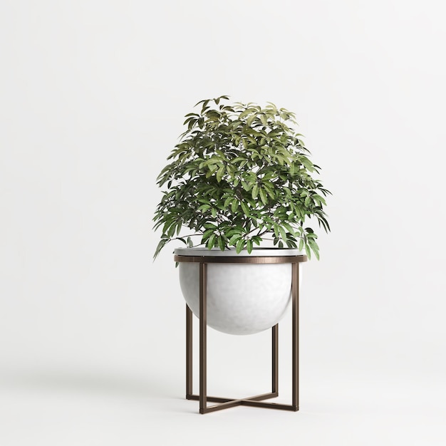 3d illustration de plante d'intérieur en pot isolé sur fond blanc