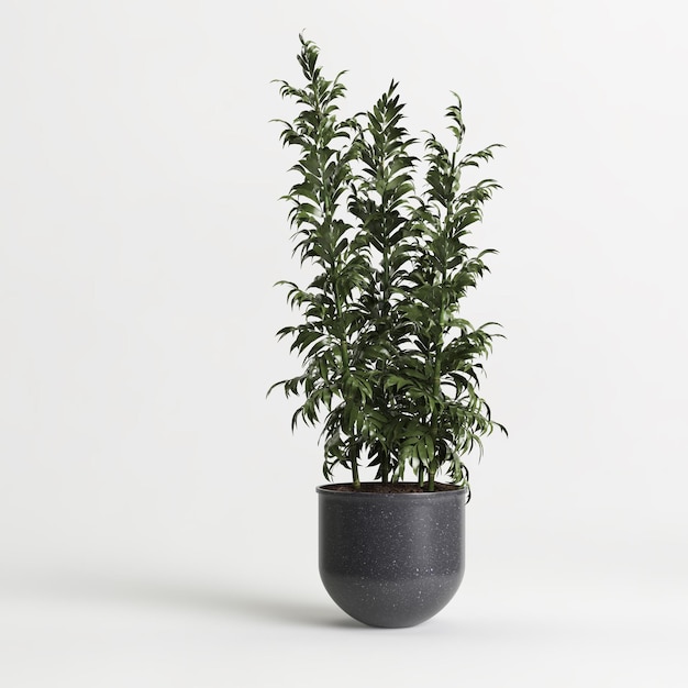 3d illustration de plante d'intérieur en pot isolé sur fond blanc