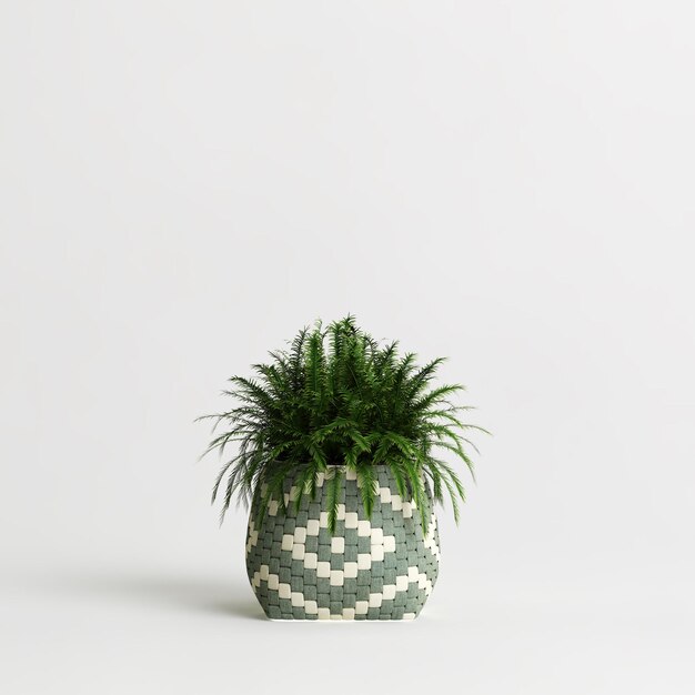 3d illustration de plante en pot isolé sur fond blanc