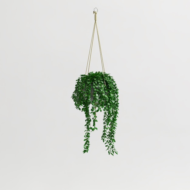 3d illustration de plante suspendue isolée sur fond blanc