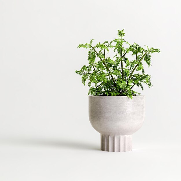 3d illustration de plantes d'intérieur isolé sur fond blanc